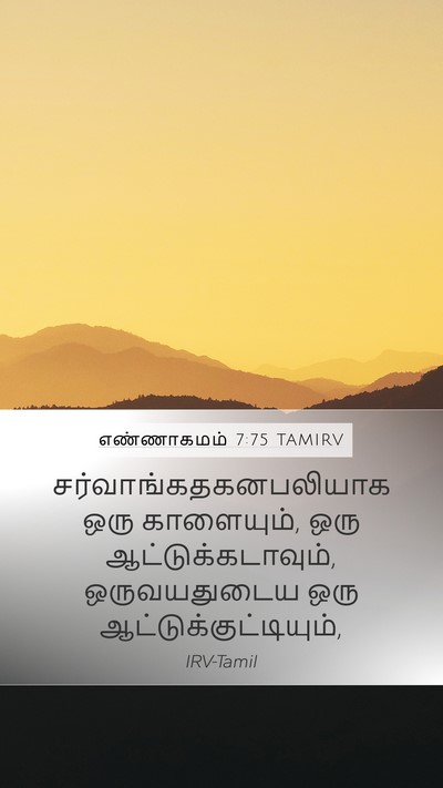 எண்ணாகமம் 7:75 TAMIRV Mobile Phone Wallpaper -  - Mobile Bible Verse Wallpaper