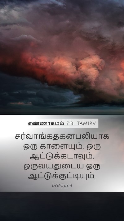 எண்ணாகமம் 7:81 TAMIRV Mobile Phone Wallpaper -  - Mobile Bible Verse Wallpaper