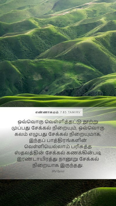 எண்ணாகமம் 7:85 TAMIRV Mobile Phone Wallpaper - ஒவ்வொரு - Mobile Bible Verse Wallpaper