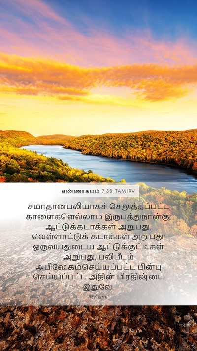 எண்ணாகமம் 7:88 TAMIRV Bible Verse Image