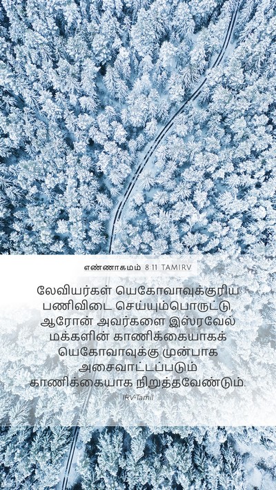 எண்ணாகமம் 8:11 TAMIRV Bible Verse Image