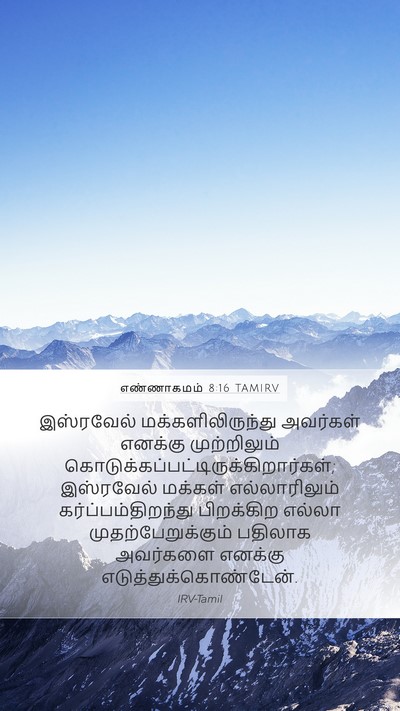 எண்ணாகமம் 8:16 TAMIRV Mobile Phone Wallpaper - இஸ்ரவேல் - Mobile Bible Verse Wallpaper