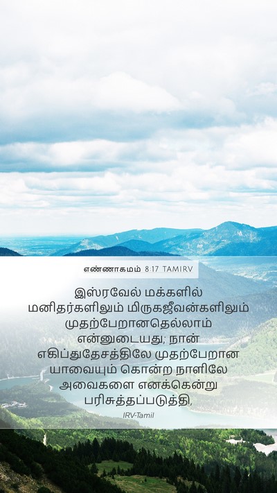 எண்ணாகமம் 8:17 TAMIRV Bible Verse Image