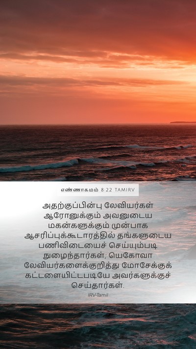 எண்ணாகமம் 8:22 TAMIRV Bible Verse Image