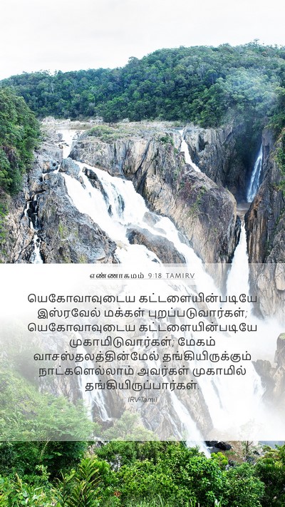 எண்ணாகமம் 9:18 TAMIRV Bible Verse Image