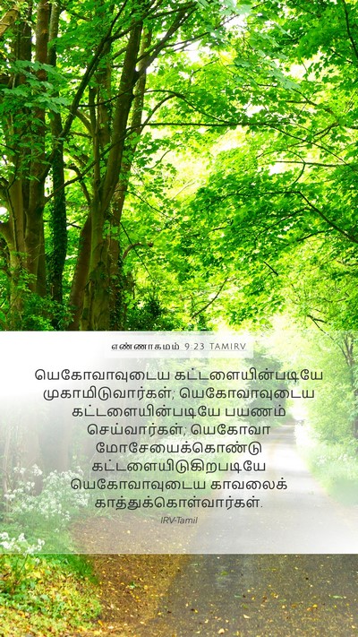 எண்ணாகமம் 9:23 TAMIRV Bible Verse Image