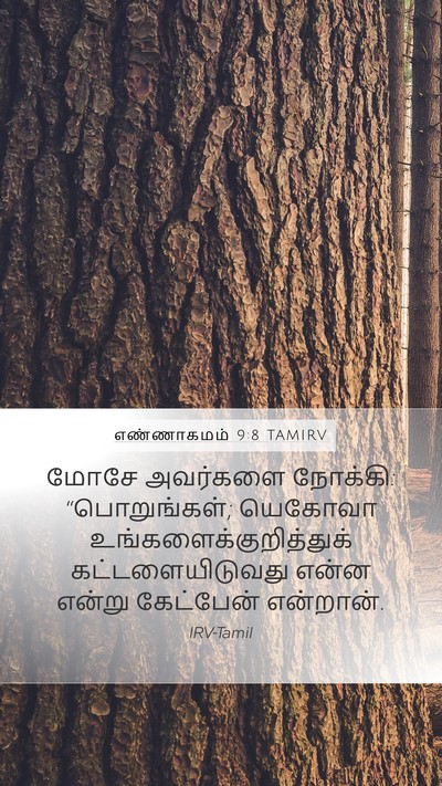 எண்ணாகமம் 9:8 TAMIRV Bible Verse Image