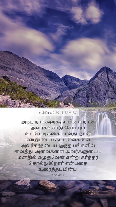 எபிரெயர் 10:16 TAMIRV Bible Verse Image