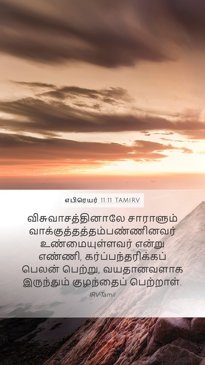 எபிரெயர் 11:11 TAMIRV Bible Verse Image