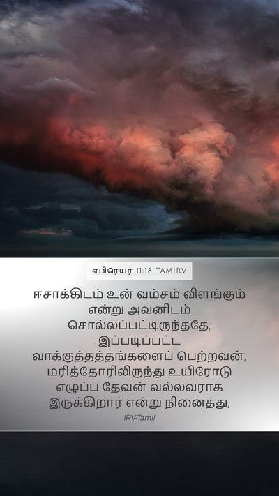 எபிரெயர் 11:18 TAMIRV Bible Verse Image