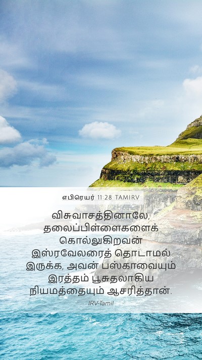 எபிரெயர் 11:28 TAMIRV Bible Verse Image