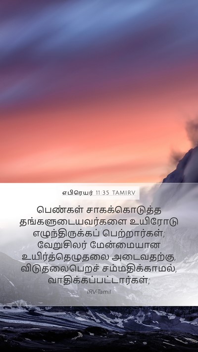 எபிரெயர் 11:35 TAMIRV Bible Verse Image