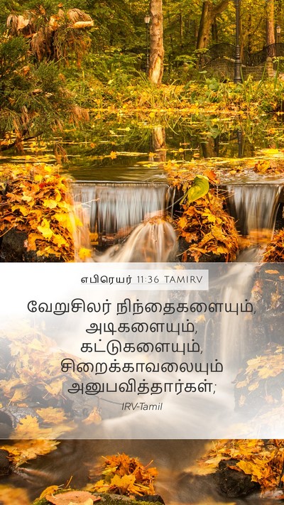 எபிரெயர் 11:36 TAMIRV Bible Verse Image