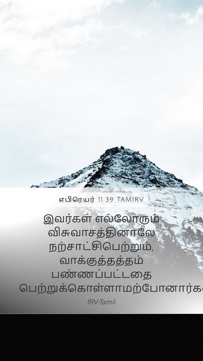 எபிரெயர் 11:39 TAMIRV Bible Verse Image