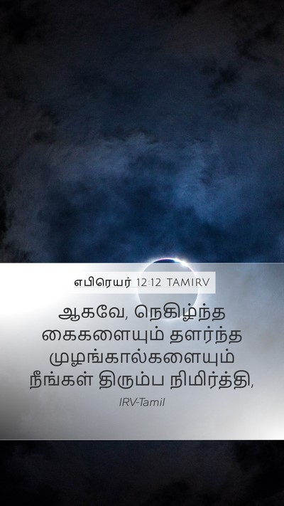 எபிரெயர் 12:12 TAMIRV Bible Verse Image