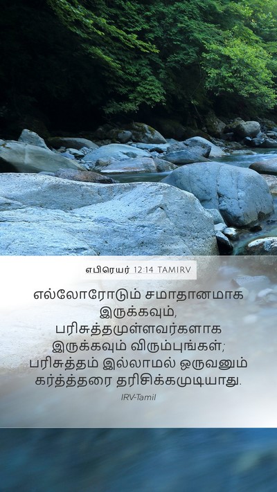 எபிரெயர் 12:14 TAMIRV Bible Verse Image