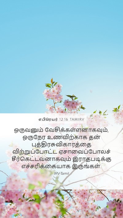 எபிரெயர் 12:16 TAMIRV Bible Verse Image