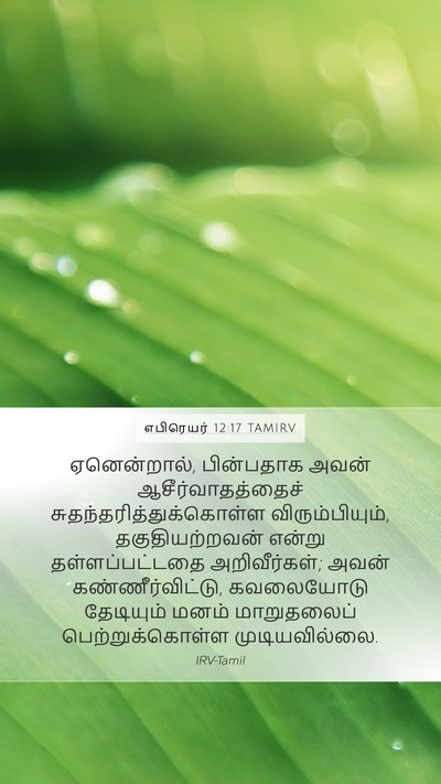 எபிரெயர் 12:17 TAMIRV Bible Verse Image