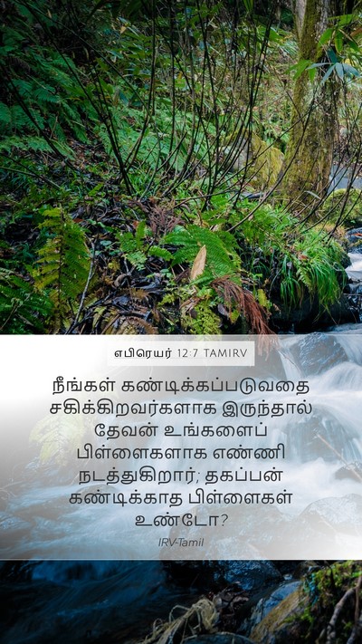 எபிரெயர் 12:7 TAMIRV Bible Verse Image