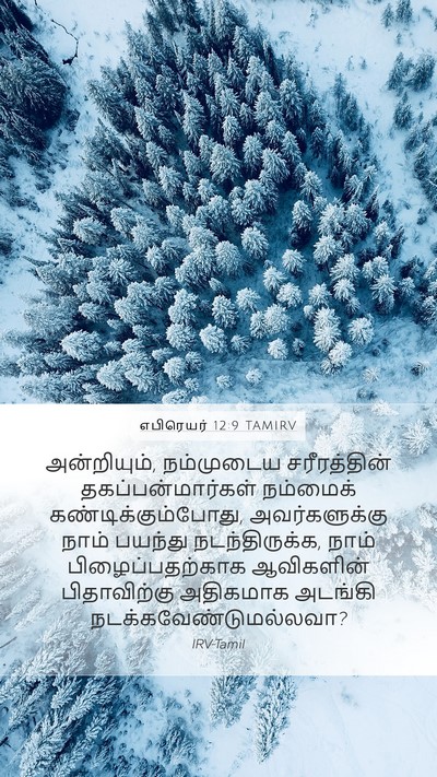 எபிரெயர் 12:9 TAMIRV Bible Verse Image