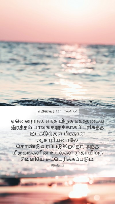எபிரெயர் 13:11 TAMIRV Bible Verse Image
