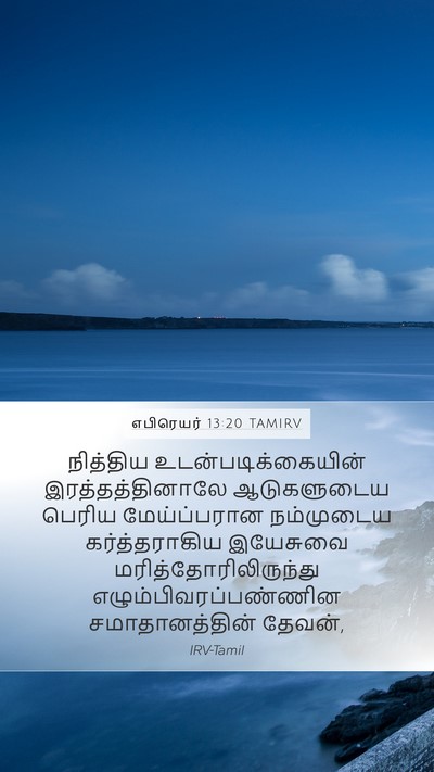 எபிரெயர் 13:20 TAMIRV Bible Verse Image