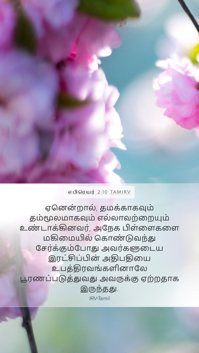 எபிரெயர் 2:10 TAMIRV Bible Verse Image