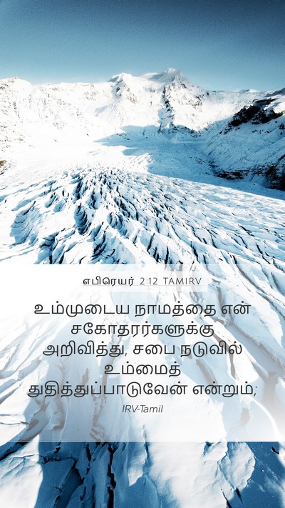 எபிரெயர் 2:12 TAMIRV Bible Verse Image