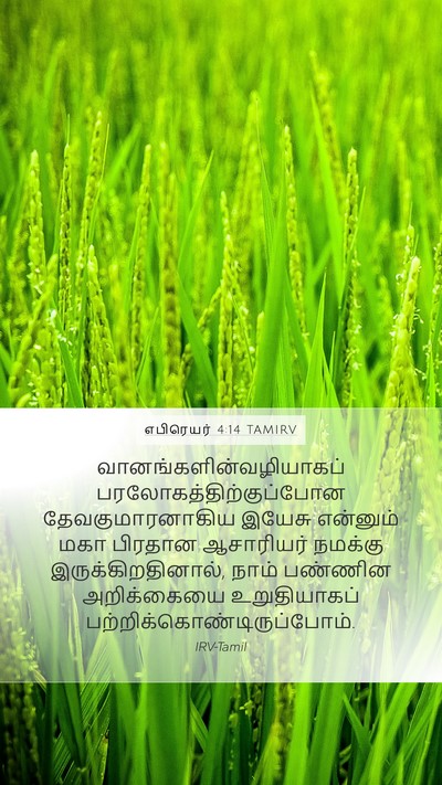 எபிரெயர் 4:14 TAMIRV Bible Verse Image