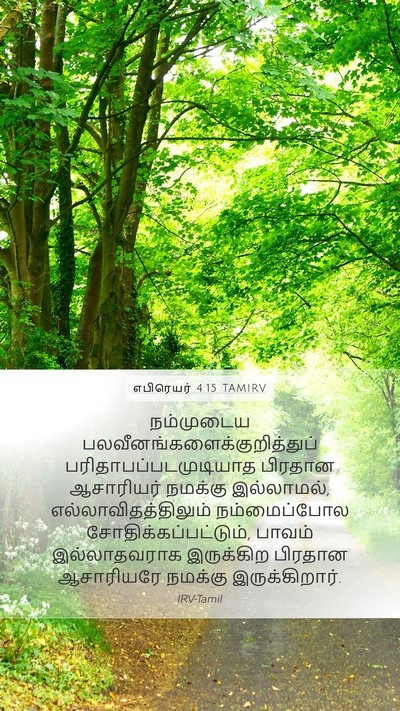 எபிரெயர் 4:15 TAMIRV Bible Verse Image