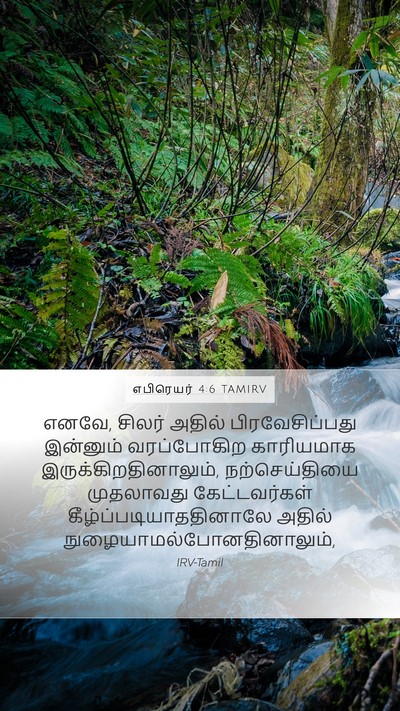 எபிரெயர் 4:6 TAMIRV Bible Verse Image