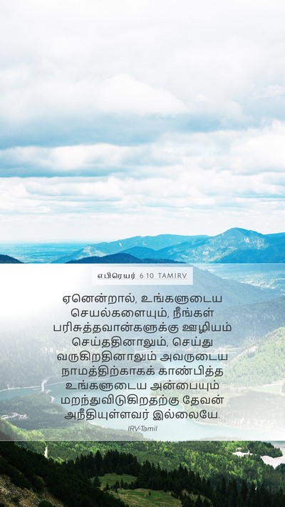 எபிரெயர் 6:10 TAMIRV Bible Verse Image
