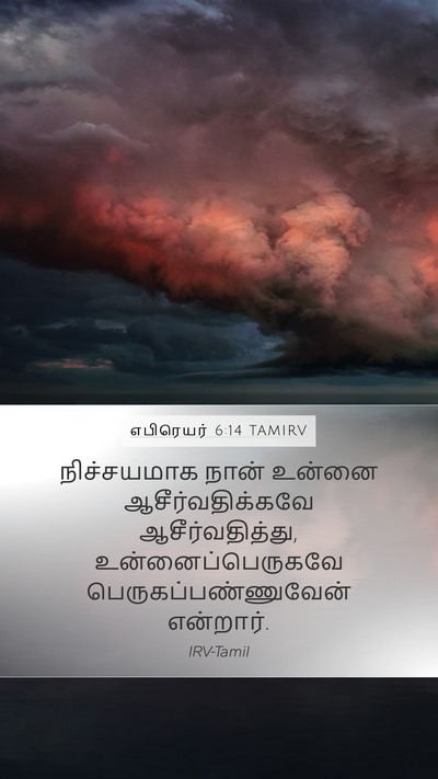 எபிரெயர் 6:14 TAMIRV Bible Verse Image