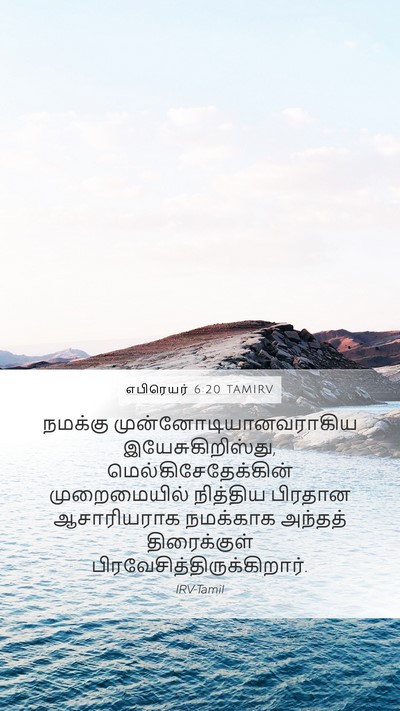 எபிரெயர் 6:20 TAMIRV Bible Verse Image