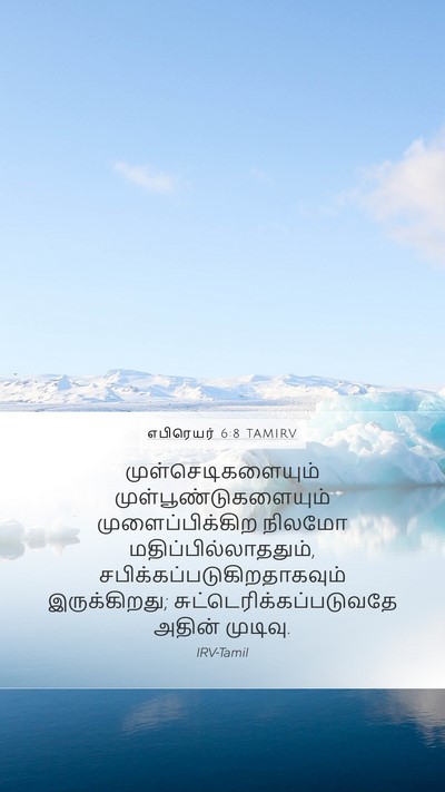 எபிரெயர் 6:8 TAMIRV Bible Verse Image