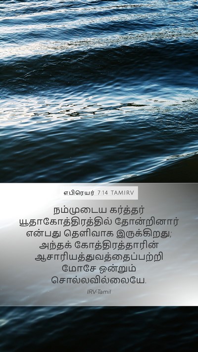 எபிரெயர் 7:14 TAMIRV Bible Verse Image