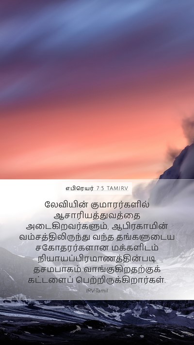 எபிரெயர் 7:5 TAMIRV Bible Verse Image