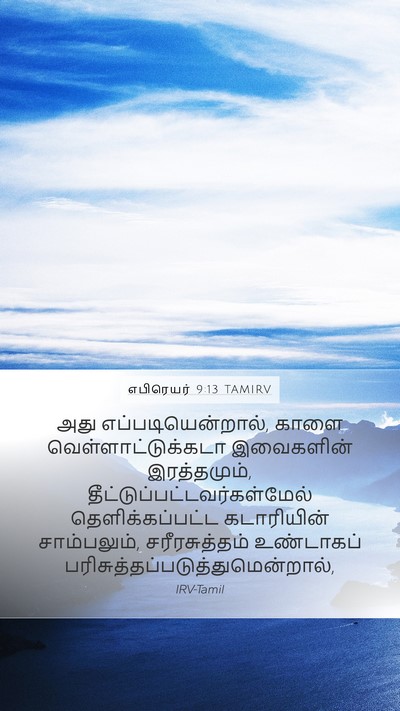 எபிரெயர் 9:13 TAMIRV Bible Verse Image