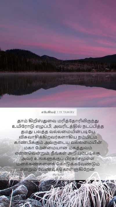 எபேசியர் 1:19 TAMIRV Bible Verse Image