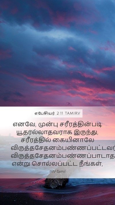எபேசியர் 2:11 TAMIRV Bible Verse Image