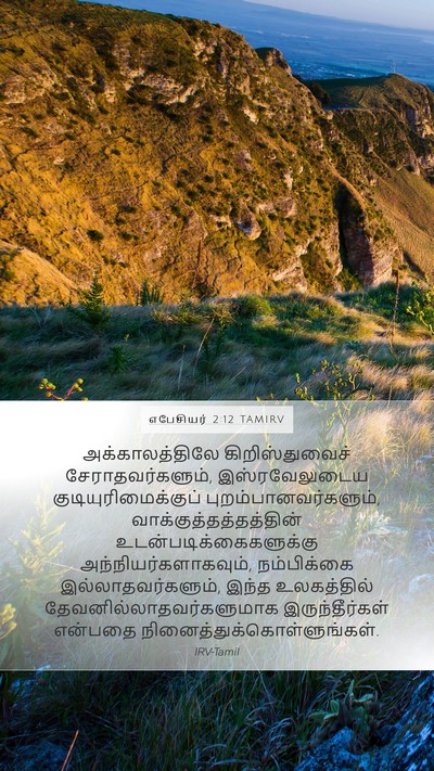 எபேசியர் 2:12 TAMIRV Bible Verse Image