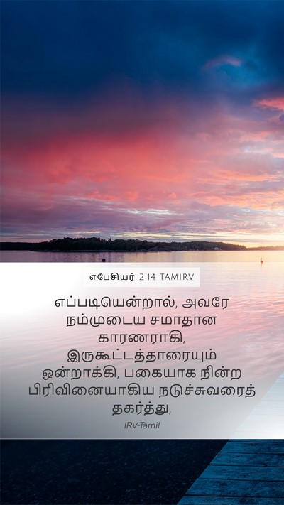 எபேசியர் 2:14 TAMIRV Bible Verse Image
