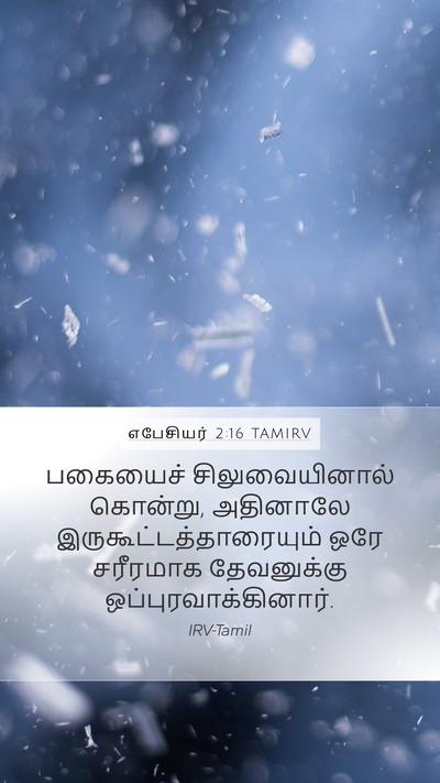 எபேசியர் 2:16 TAMIRV Bible Verse Image