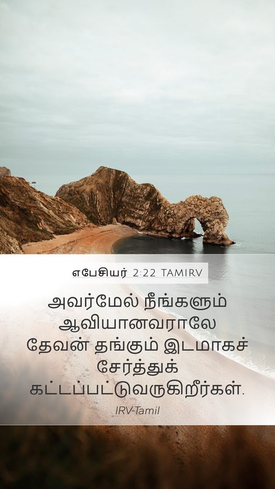 எபேசியர் 2:22 TAMIRV Bible Verse Image