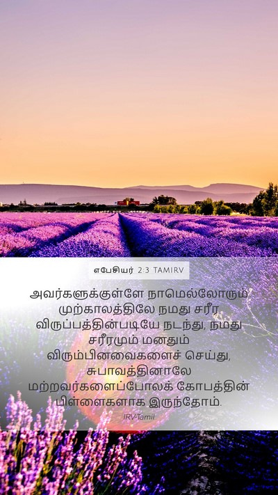 எபேசியர் 2:3 TAMIRV Bible Verse Image
