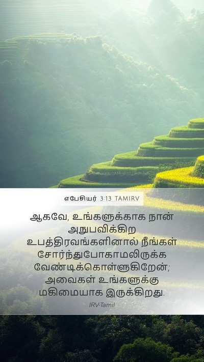 எபேசியர் 3:13 TAMIRV Bible Verse Image