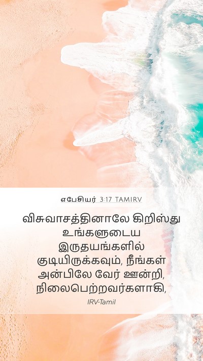 எபேசியர் 3:17 TAMIRV Bible Verse Image