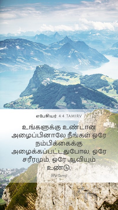 எபேசியர் 4:4 TAMIRV Bible Verse Image