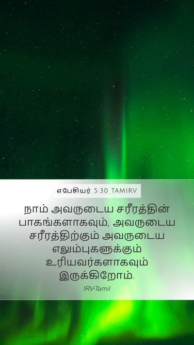 எபேசியர் 5:30 TAMIRV Bible Verse Image