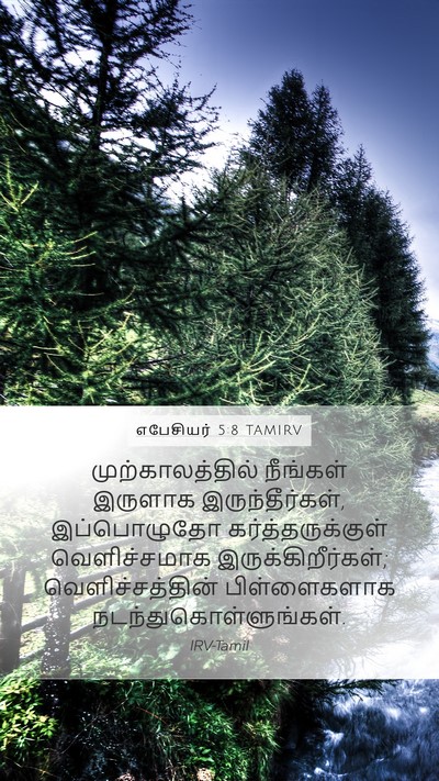 எபேசியர் 5:8 TAMIRV Bible Verse Image